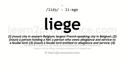 liege|Liege Definition & Meaning .